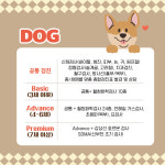 24시 황금동물의료센터