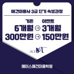 에이스애견미용학원