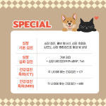 24시 황금동물의료센터