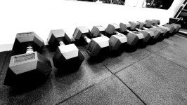 프리원핏 고려대점