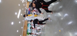 경희대 숭미 태권도