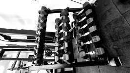 프리원핏 고려대점