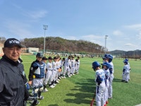 Korea Baseball 야구아카데미