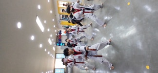 경희대 숭미 태권도