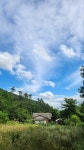탑고을바라기