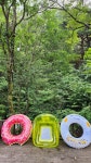 탑고을바라기