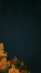 탑고을바라기