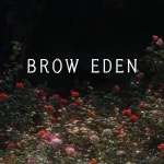 브로우 에덴