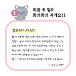 훤칠한고양이