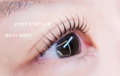 어베인디