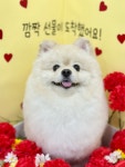화멍화멍