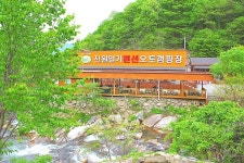 전원일기펜션오토캠핑장