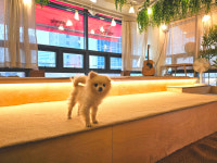 주모없는 주막 루프탑