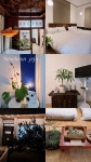 아녹헌 제주