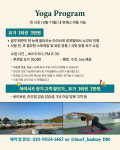 아이서프