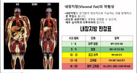 도심속점핑다이어트