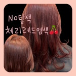 라니지헤어