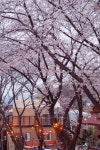 범바위포레스트