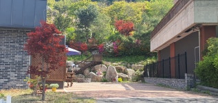 축령산코지인