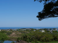 또오크라