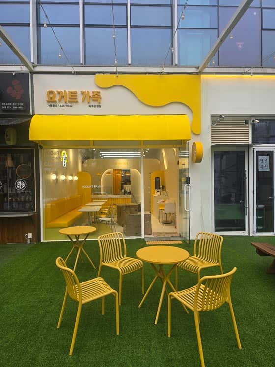 요거트가족 파주운정점 사진