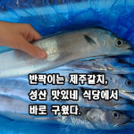 성산 맛있네식당