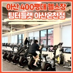 팀터틀랫 아산온천점
