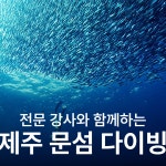난바다 프리다이빙