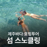 난바다 프리다이빙