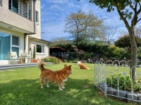 부산기장 실베네집