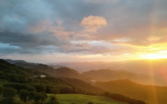 삼수령무무목장