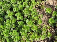 매동 둘레길 황토방