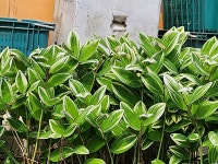 매동 둘레길 황토방