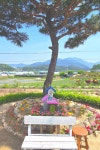 두메향 꽃차 본사