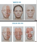 마르마나디MarmaNadi | 마르마나디