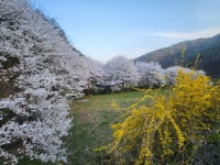 광덕테라스펜션