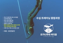 요가나무와바다꿈