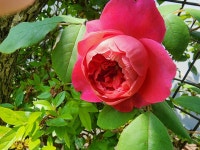 천리포전망좋은펜션