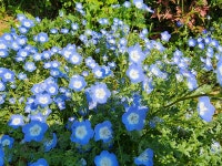 천리포전망좋은펜션