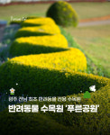 순천반려동물장례식장대행 푸른솔 서면점