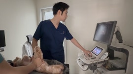 오복동물치과병원