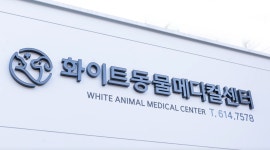 24시 화이트동물메디컬센터