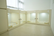 몽글몽글 애견카페&애견호텔&애견놀이방