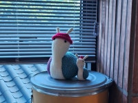 빨간모자달팽이