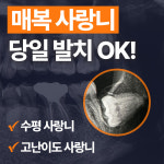 서울에이앤치과의원