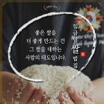 죽기전에 꼭 먹어봐야하는 이천쌀밥 임금님쌀밥집