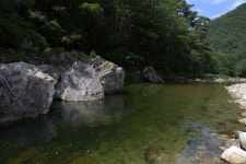 김삿갓반딧불민박