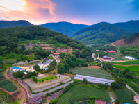 홍천 디데이 펜션&캠핑