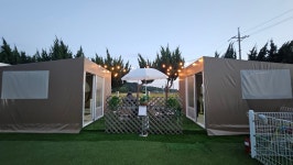 퍼피21애견펜션