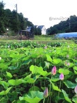 논실펜션